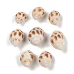 Natural Spiral Shell Pendants