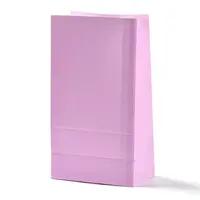 Rectangle Kraft Paper Bags