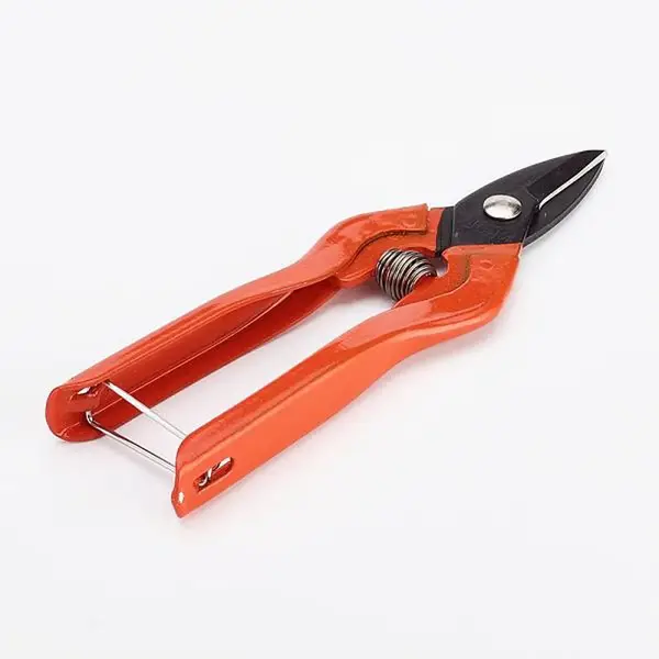 Iron Jewelry Pliers