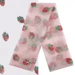 Mesh Embroidered Lace Trim