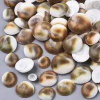 Natural Shell Cabochons