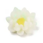 Two Tone Opaque Resin Decoden Cabochons