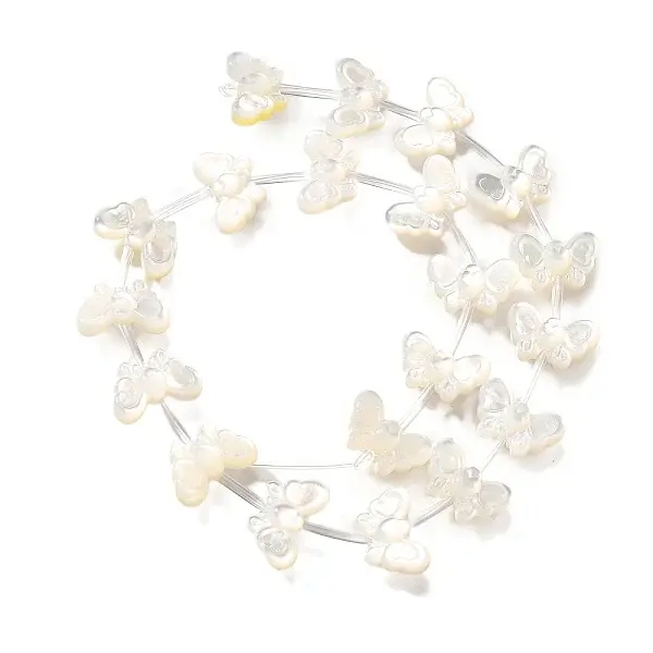 Natural White Shell Beads