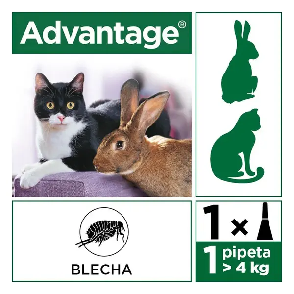 Advantage 80mg velké kočky a králíci spot-on 4x0.8ml
