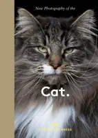 New Photography of the Cat. - Hoxton Mini Press