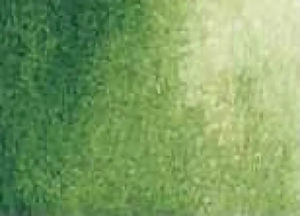 Akvarelová barva DS 15ml – 102 Sap Green