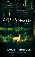 Groundwater - Thomas McMullan
