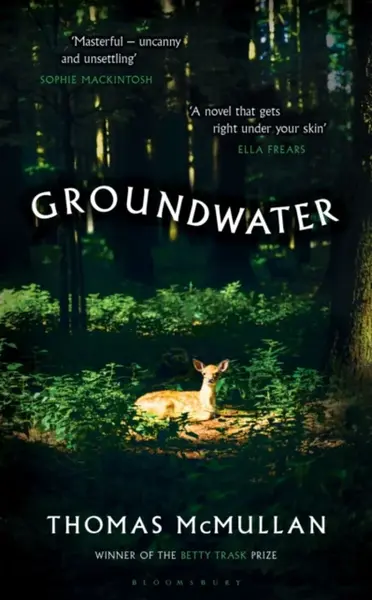 Groundwater - Thomas McMullan