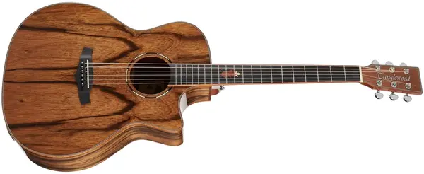 Tanglewood TWX6CE PW