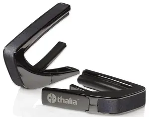 Thalia Shell Collection Ebony Inked Black Chrome