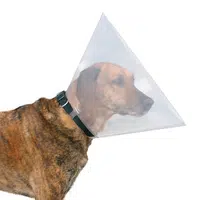 Trixie ochranný golier plastový M (TRX19484)