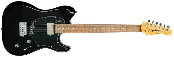 Godin 2013 Session Custom BK