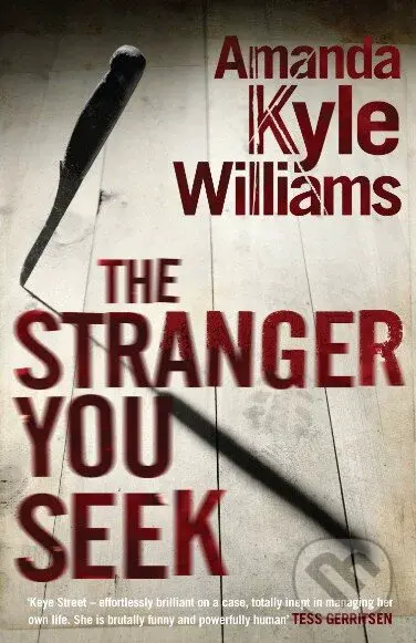 The Stranger You Seek - Amanda Kyle Williams - kniha z kategorie Detektivky