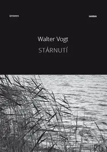 Stárnutí - Walter Vogt - kniha z kategorie Beletrie