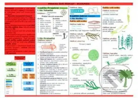Tabulka - botanika - Antonín Konětopský - kniha z kategorie 2. stupeň