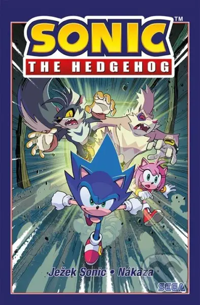 Ježek Sonic 4: Nákaza - Ian Flynn - kniha z kategorie Komiksy