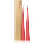 ester & erik cone candles coral reef (no. 26) dekorativní svíčka 2x37 cm