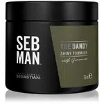 Sebastian Professional SEB MAN The Dandy pomáda na vlasy pre prirodzenú fixáciu 75 ml