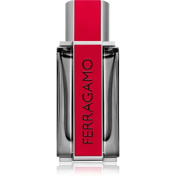 Ferragamo Ferragamo Red Leather parfumovaná voda pre mužov 100 ml