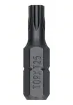 Bosch Příslušenství - Sada bitů T25, délka 25 mm, 25 ks 2607002800