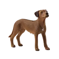 Zvířátko - pes ridgback rhodéský