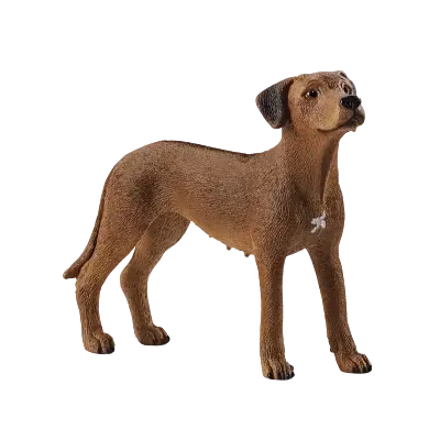 Zvířátko - pes ridgback rhodéský