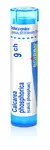 Calcarea Phosphorica 9CH gra.4g
