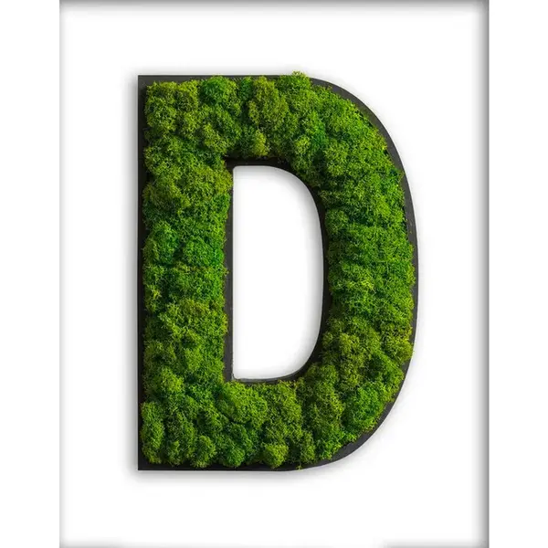 StyleGREEN MECHOVÝ OBRAZ