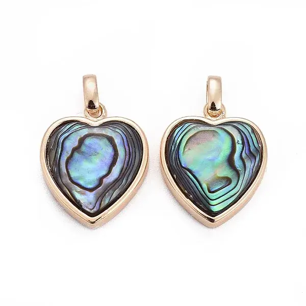 Natural Abalone Shell/Paua ShellCharms