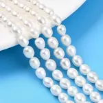 Natural Cultured Freshwater Pearl Beads Strands
