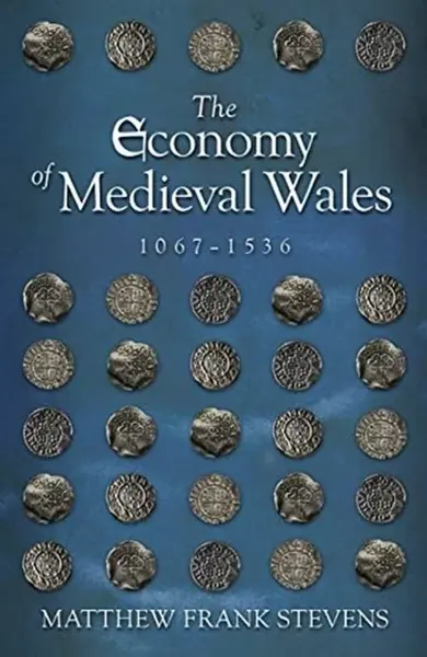 The Economy of Medieval Wales, 1067-1536 - Matthew Stevens