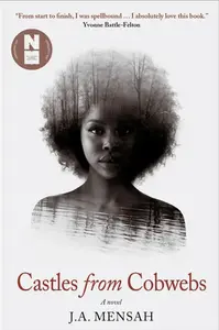 Castles from Cobwebs - J.A. Mensah