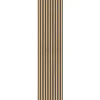 XXXL AKUSTICKÝ PANEL 60/250/2.1 cm