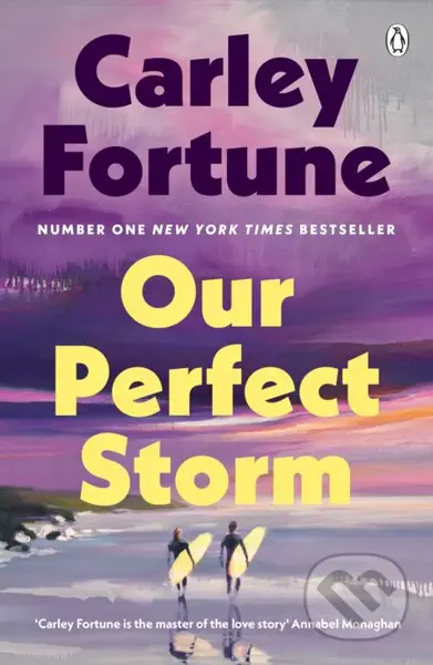 Our Perfect Storm - Carley Fortune - kniha z kategorie Romantická