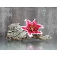 Euroart OBRAZ NA SKLE, zen, 30/40 cm