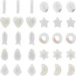 Natural Freshwater Shell Charms/Pendants