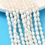 Natural Cultured Freshwater Pearl Beads Strands