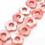 Freshwater Shell Beads Frames Strands