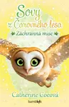 Sovy z Čarovného lesa 2 - Záchranná mise - Catherine Coe
