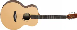 Tanglewood TM3