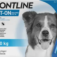 FRONTLINE Spot On Dog M 10-20 kg 3 x 1.34 ml