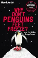 Why Don't Penguins' Feet Freeze? - New Scientist