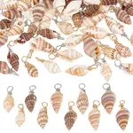 100Pcs 10 Styles Natural Shell Pendants