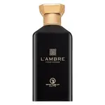 Grandeur L'Ambre parfémovaná voda pro muže 100 ml