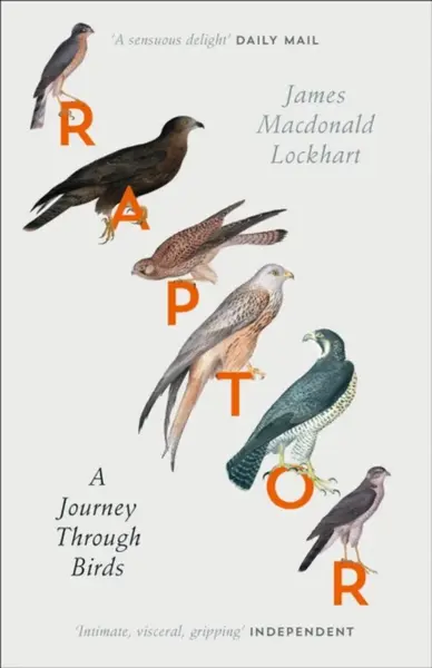Raptor - James Macdonald Lockhart