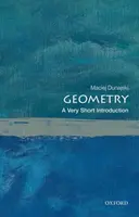 Geometry - Maciej  Dunajski