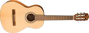 Fender CN-30 Nylon 3/4 WB WN NAT
