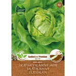 Šalát - výsevný pásik 5 m