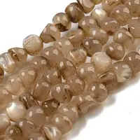 Natural White Shell Dyed Beads Strands