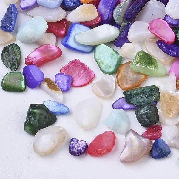 Natural Freshwater Shell Beads